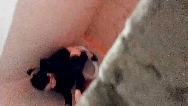 Si rambut coklat amatur dalam stoking mendapat dia lubang dubur video seks melayu lucah lazat fucked buat kali pertama